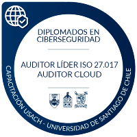 Auditor L&iacute;der 27017 por la USACH